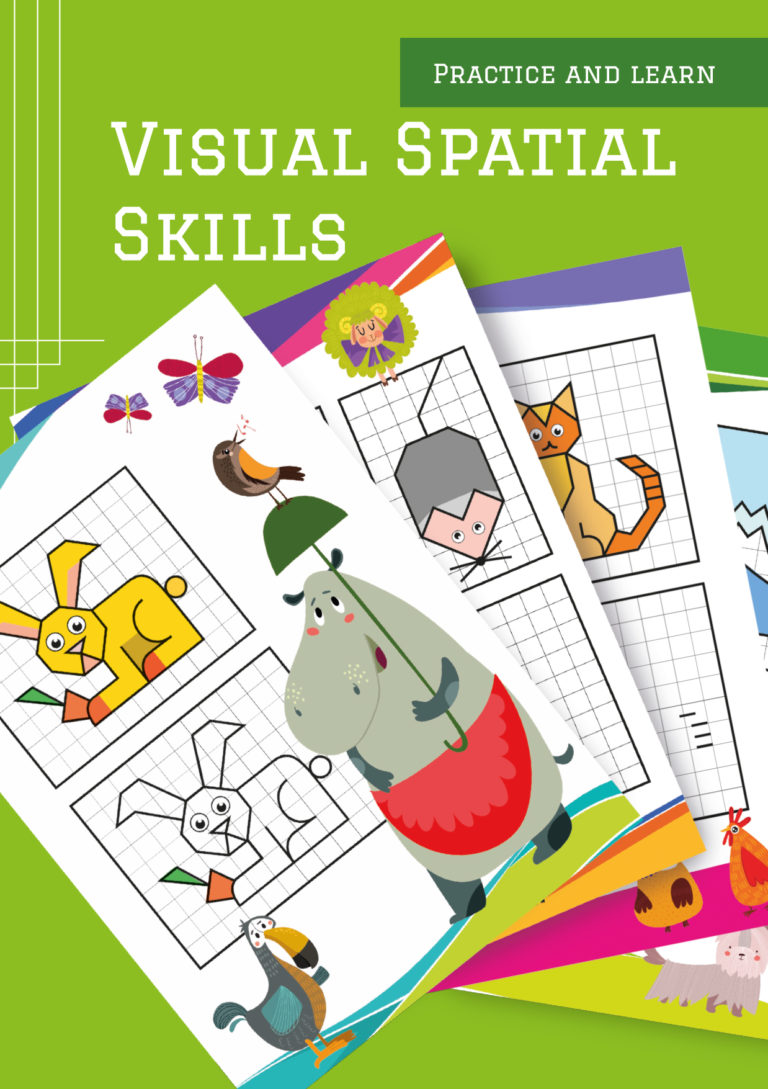 Visual Spatial Skills - Cuberdon Books