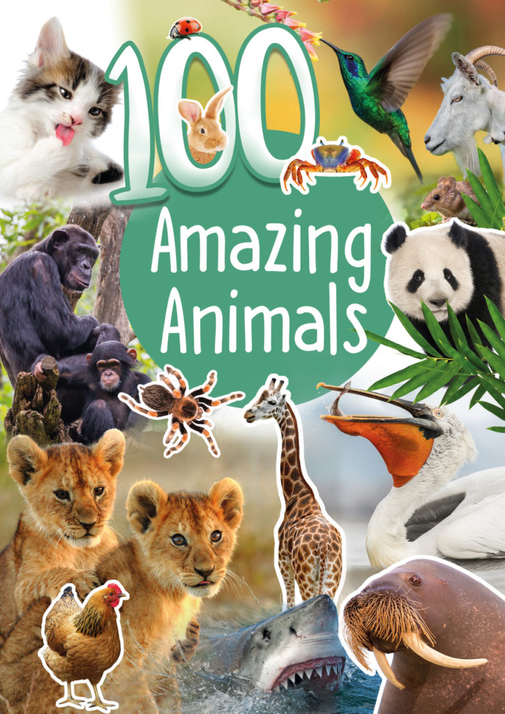 100 amazing animals - Cuberdon books